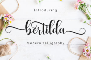 Bertilda Script: The Font That Makes Your Brand Unforgettable