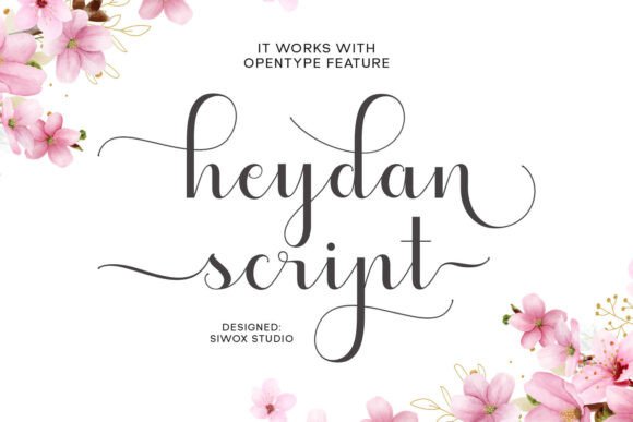 Discovering Heydan Script: A Font with Personality and Versatility