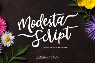 Modesta Script: Elevating Feminine & Girly Design